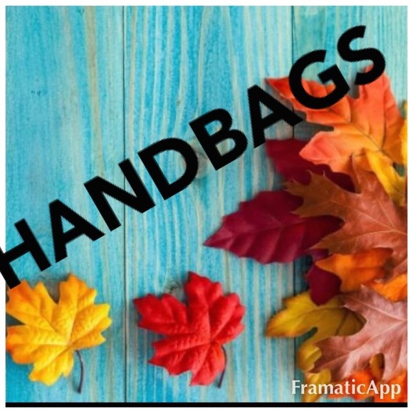 Handbags - Picture 3 of 16